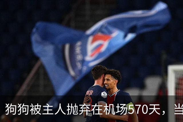 狗狗被主人抛弃在机场570天，当主人回来接它时，看哭了所有人